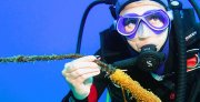 בשורות מעודדות: זיהום הפלסטיק במפרץ אילת נמוך בהשוואה לשוניות אלמוגים אחרות בעולם